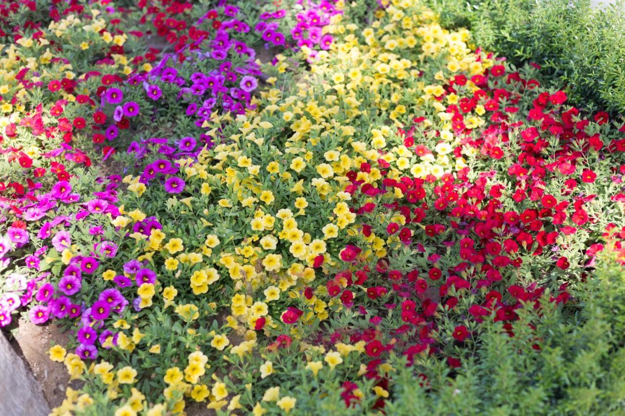 Suite Hotel L'Oasi Di Riaci (Adults Only) Santa Domenica  Exteriér fotografie